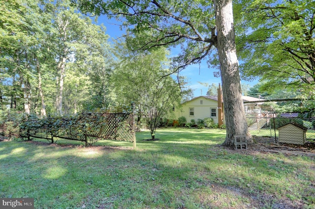 650 Bucks Church Rd, Newport, PA 17074 - view of yard