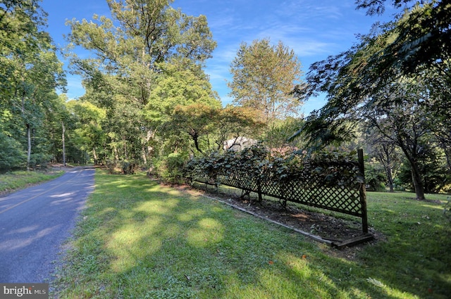 650 Bucks Church Rd, Newport, PA 17074 - view of grassy yard