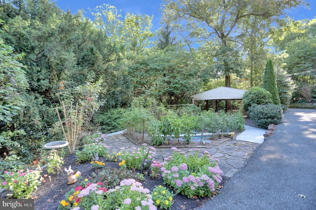 view of yard with a gazebo