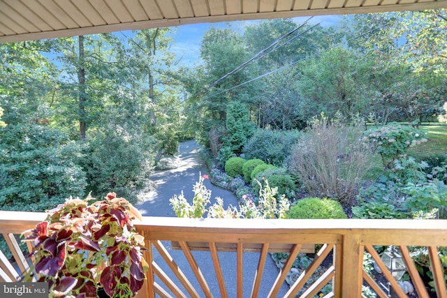 650 Bucks Church Rd, Newport, PA 17074 - view of balcony
