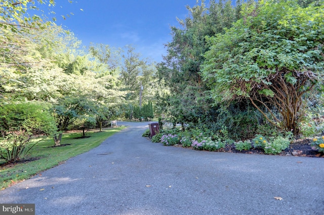 650 Bucks Church Rd, Newport, PA 17074 - view of asphalt road