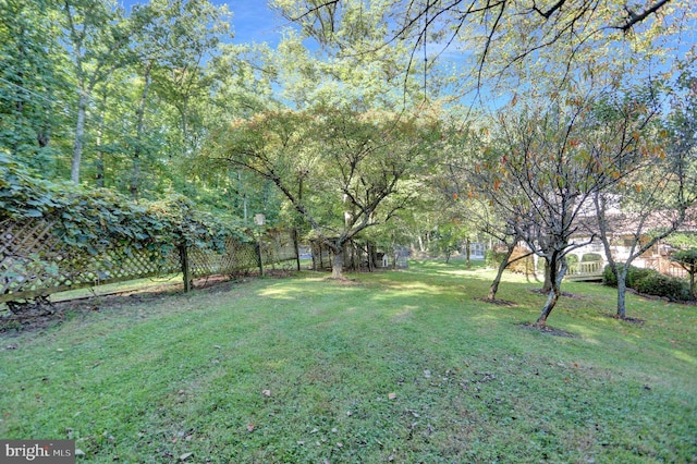 650 Bucks Church Rd, Newport, PA 17074 - view of yard