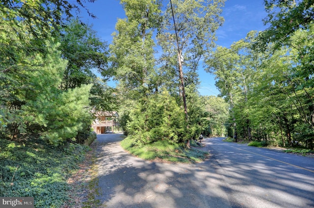 650 Bucks Church Rd, Newport, PA 17074 - view of asphalt driveway
