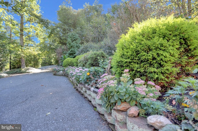 650 Bucks Church Rd, Newport, PA 17074 - view of road