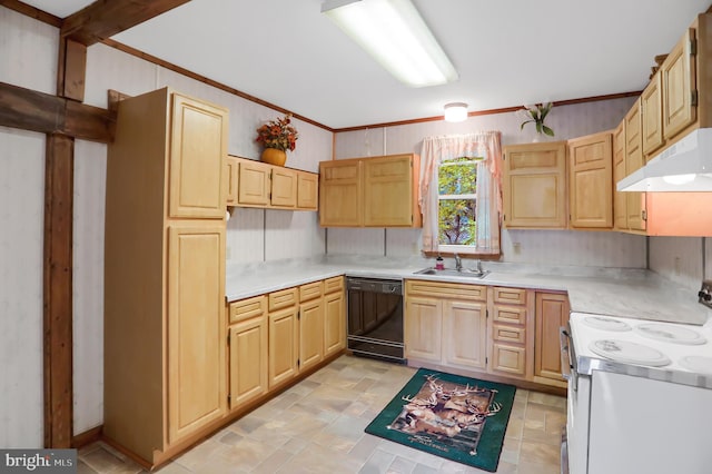 650 Bucks Church Rd, Newport, PA 17074 - kitchen with dishwasher, white range with electric cooktop, under cabinet range hood, a sink, and light brown cabinets