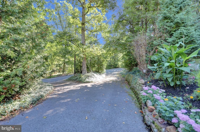 650 Bucks Church Rd, Newport, PA 17074 - view of road