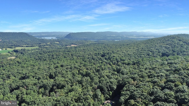 650 Bucks Church Rd, Newport, PA 17074 - mountain view with a heavily wooded area
