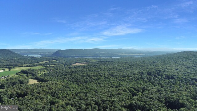 650 Bucks Church Rd, Newport, PA 17074 - view of mountain backdrop with a forest