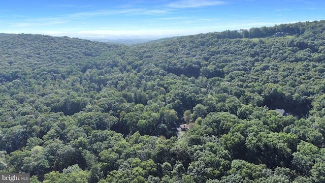 650 Bucks Church Rd, Newport, PA 17074 - bird's eye view of a heavily wooded area