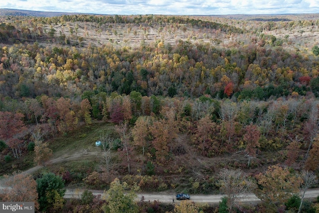 22 Beech Creek Mountain Rd, Beech Creek, PA 16822