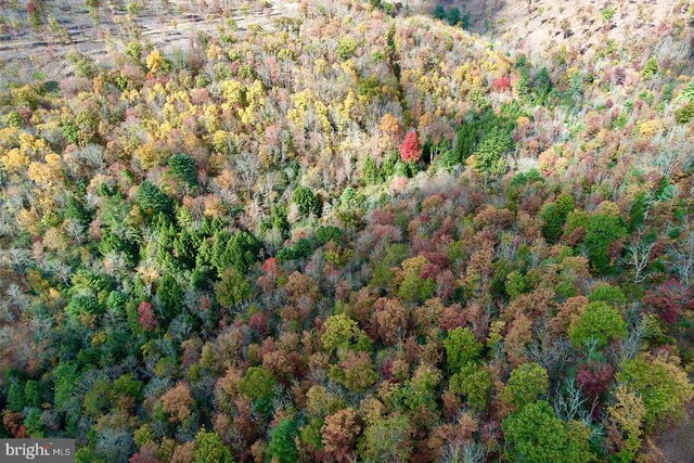 22 Beech Creek Mountain Rd, Beech Creek, PA 16822
