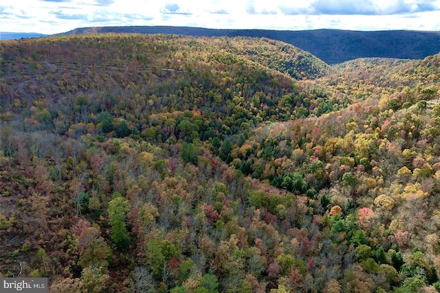22 Beech Creek Mountain Rd, Beech Creek, PA 16822