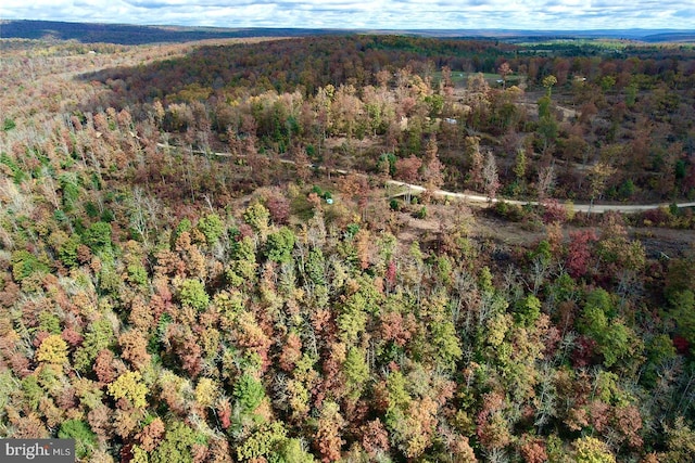22 Beech Creek Mountain Rd, Beech Creek, PA 16822