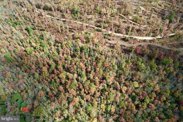 22 Beech Creek Mountain Rd, Beech Creek, PA 16822