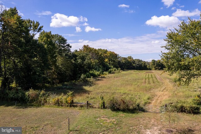 view of local wilderness with a rural view