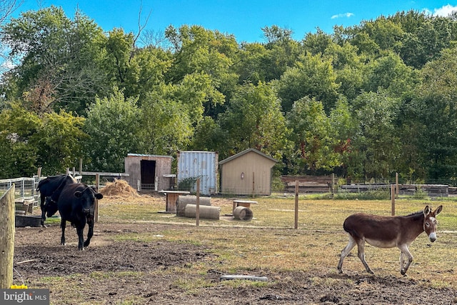 view of yard featuring a rural view and a storage unit