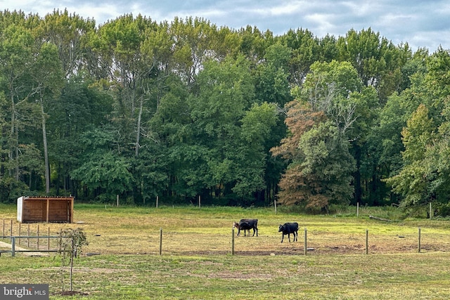 view of yard with a rural view