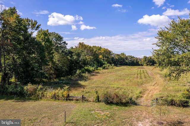 view of nature with a rural view