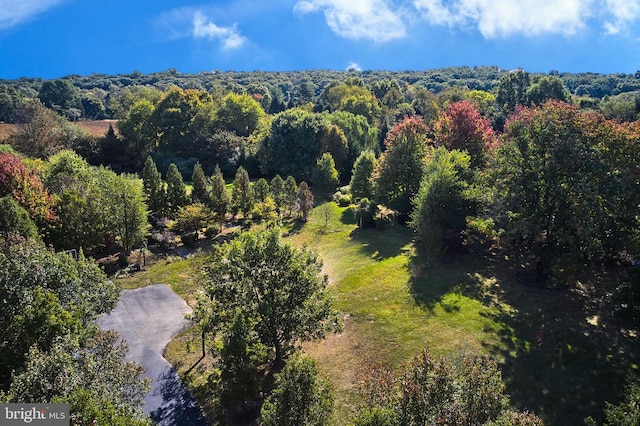 bird's eye view