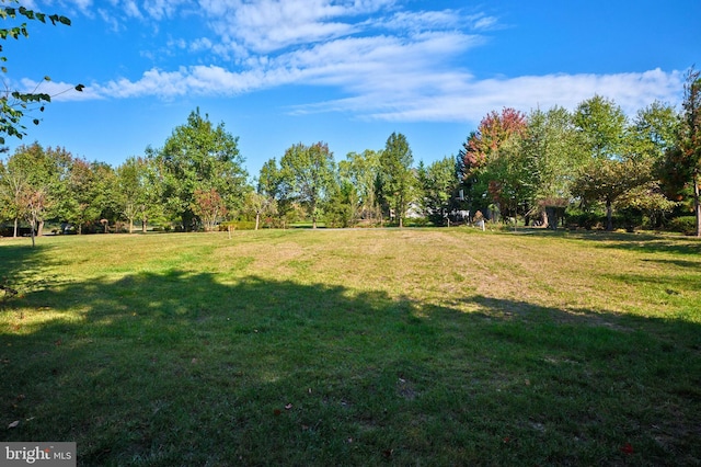 view of yard