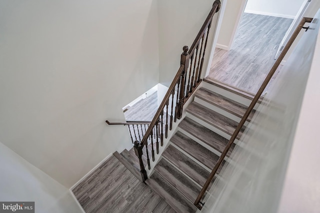 stairway featuring wood-type flooring