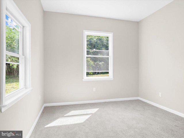 unfurnished room featuring carpet and plenty of natural light