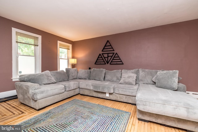 living room featuring hardwood / wood-style floors