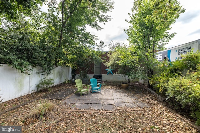 view of yard featuring a patio