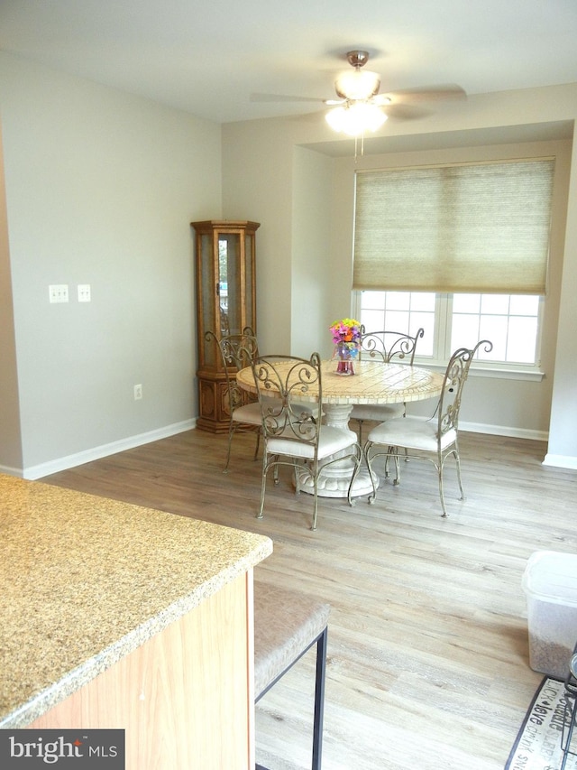 dining space with ceiling fan and hardwood / wood-style flooring