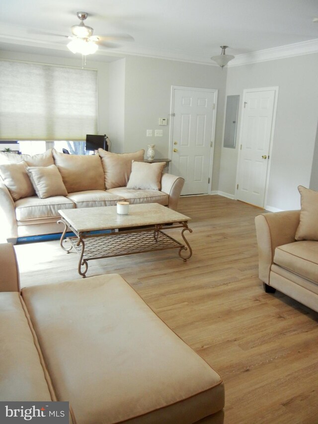 living room with ornamental molding, light wood-type flooring, and ceiling fan