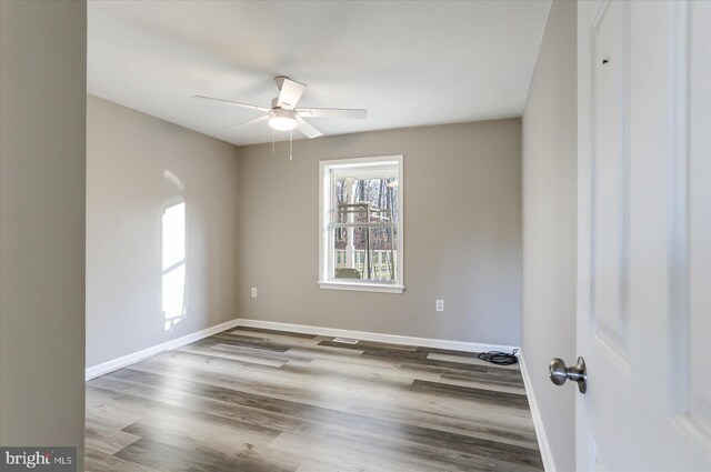 unfurnished room featuring light hardwood / wood-style flooring, sink, ceiling fan, and plenty of natural light