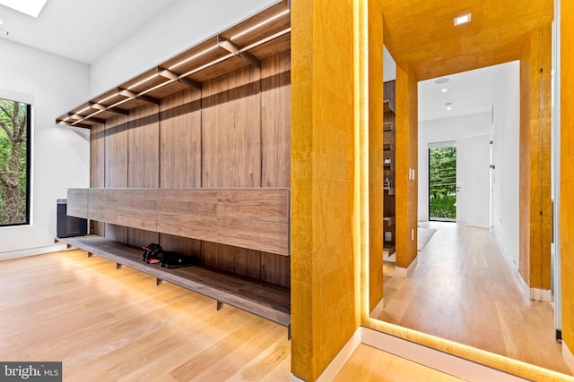 mudroom featuring a wealth of natural light, light wood-type flooring, and a skylight