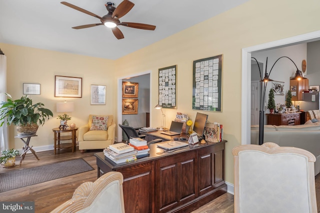 office space featuring light hardwood / wood-style floors and ceiling fan