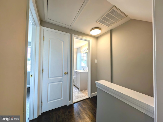corridor featuring dark wood-style flooring, a sink, and visible vents