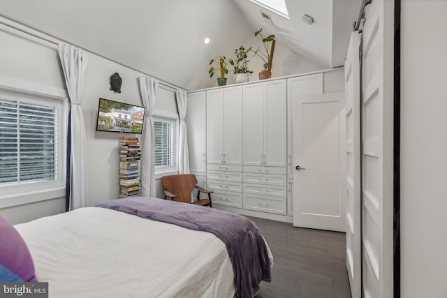 bedroom featuring multiple windows, dark hardwood / wood-style floors, and high vaulted ceiling