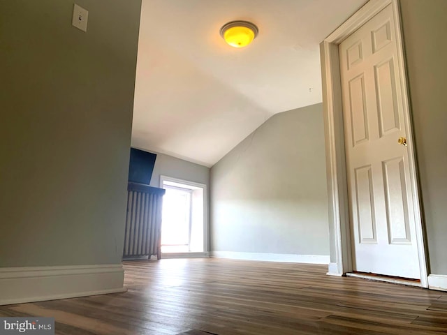 interior space featuring vaulted ceiling and dark wood-type flooring