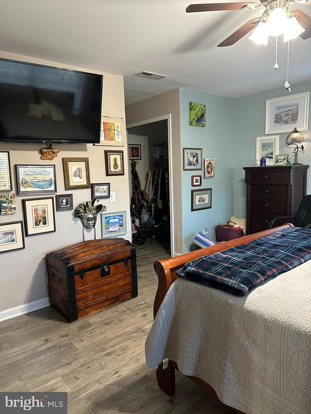 bedroom featuring light wood-type flooring, ceiling fan, a closet, and a walk in closet