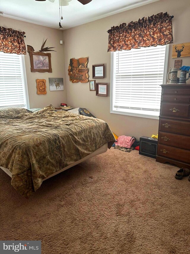 bedroom with ceiling fan, carpet, and multiple windows