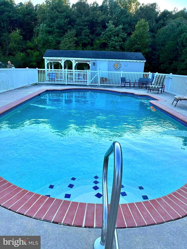 view of swimming pool with a patio area