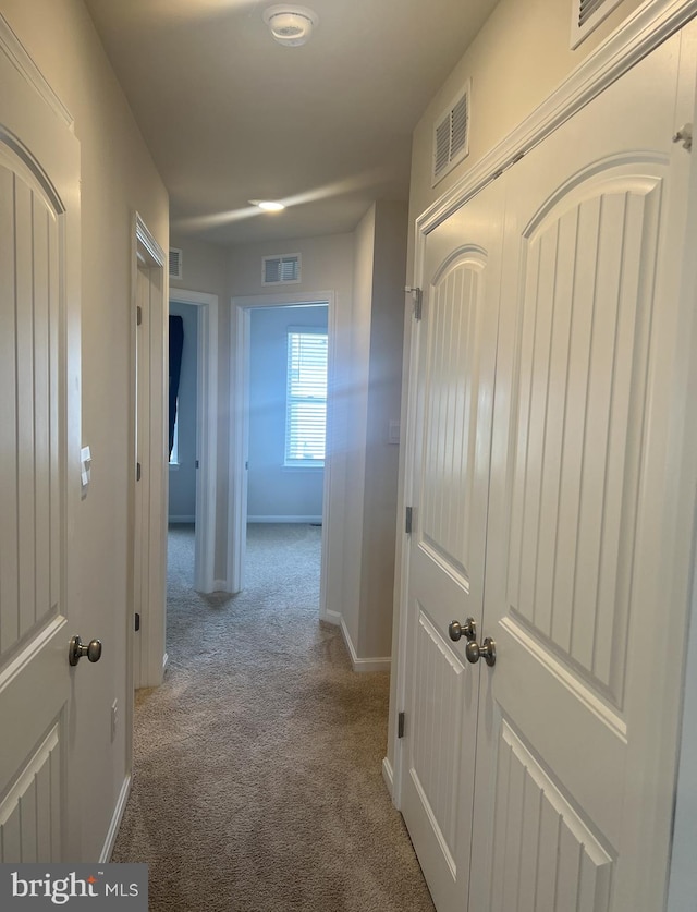 hallway with carpet floors