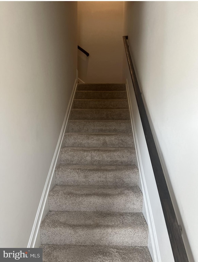 stairway with carpet flooring