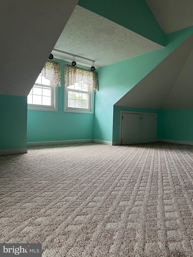 additional living space featuring a textured ceiling, lofted ceiling, and light colored carpet