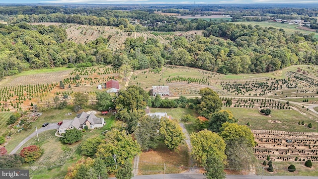 bird's eye view with a rural view and a view of trees