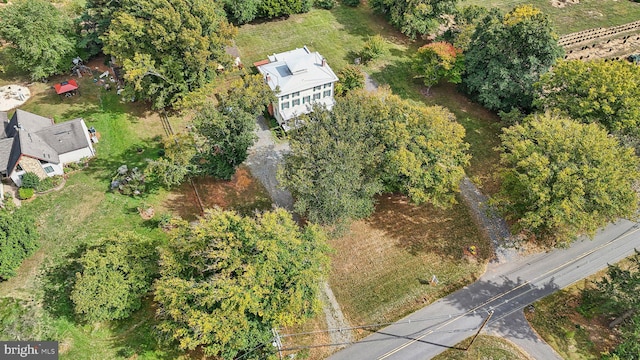 bird's eye view