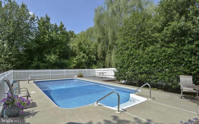 view of pool featuring a patio