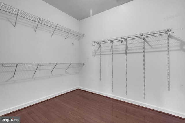 walk in closet with hardwood / wood-style flooring