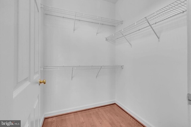 walk in closet with hardwood / wood-style flooring