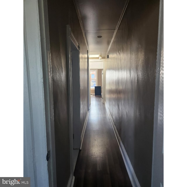 hall with crown molding and dark hardwood / wood-style flooring