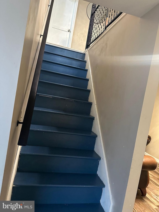 staircase featuring wood-type flooring