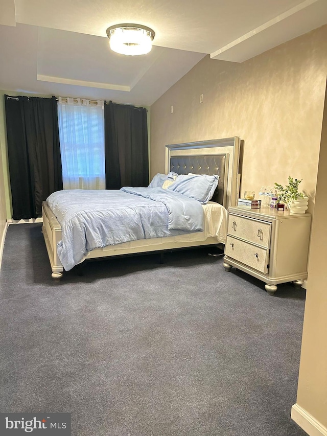 carpeted bedroom with lofted ceiling